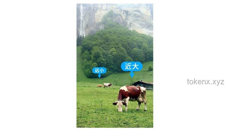 牛弹琴：透视全球视角下的美国政治纷争瓜田